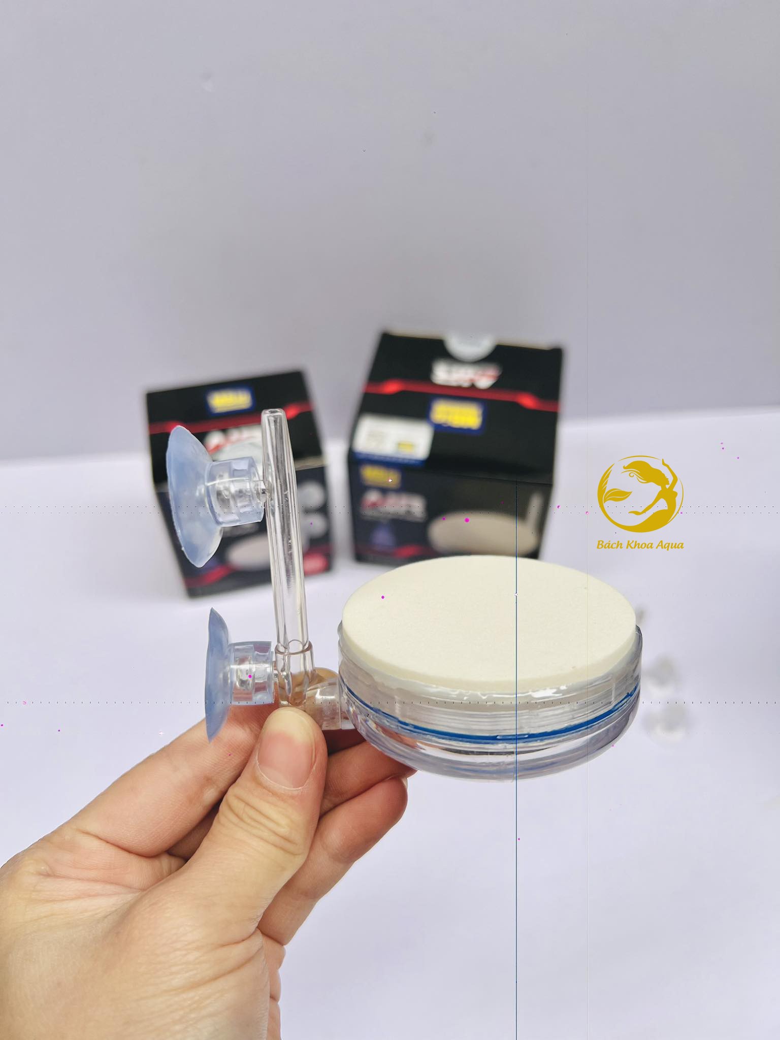 Đĩa sủi Oxy siêu mịn MBio 6cm - 10cm cho bể cá cảnh thủy sinh